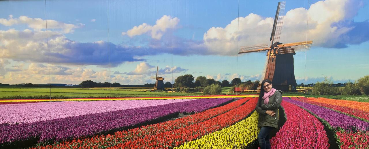 Foto in a molino y rosas